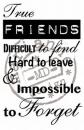 Marianne Design Clear Stamp True Friends