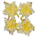 Mulberry Flowers Gardenia 5 cm White-Yellow